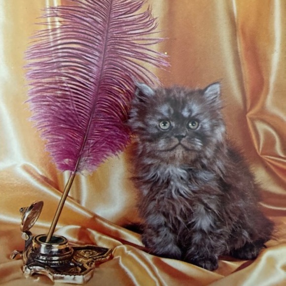 1950's Feather Hat With Net Crown - Picture 11 of 11